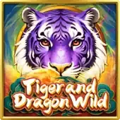 Tiger and Dragon Wild screenshot